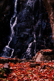 Waterfalls at the Palisades